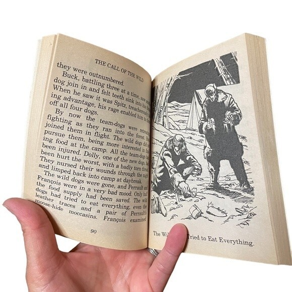 Playmore YouthYoung Readers Classics Boxed Set of 12 Illustrated Paperback Books - Picture 4 of 6